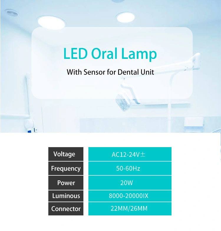 Dental Lamp with Sensor Lighting Operation Oral 6 LED Lamp for Dental Unit