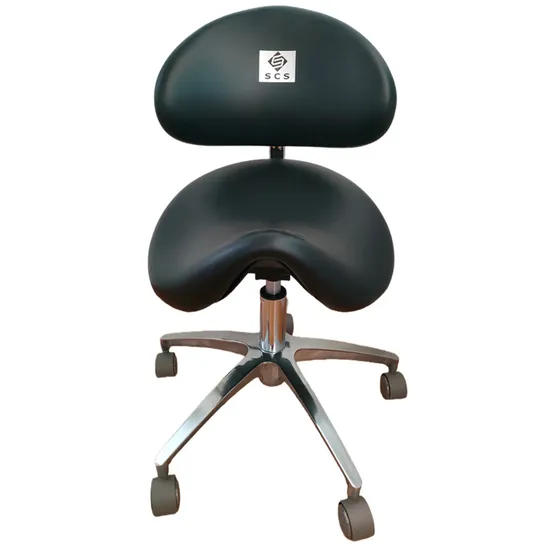 New High Quality Dental Lab Assistant Stool Chair with Backrest 